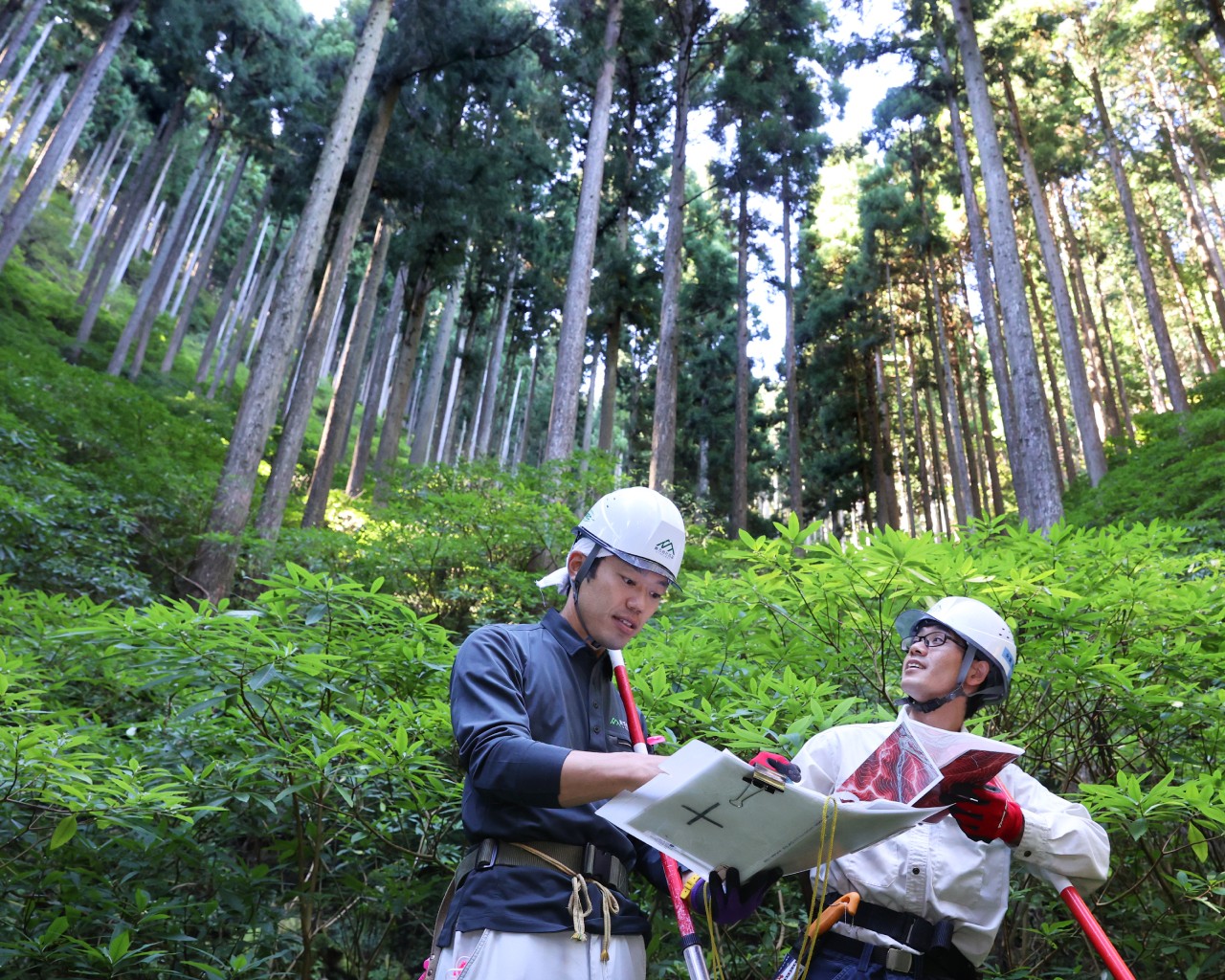 Hyakumori Forest Management