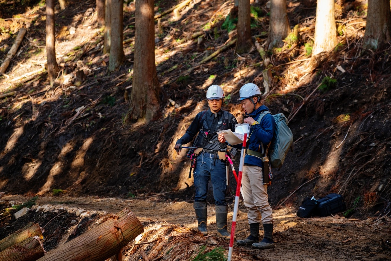 Forest Management